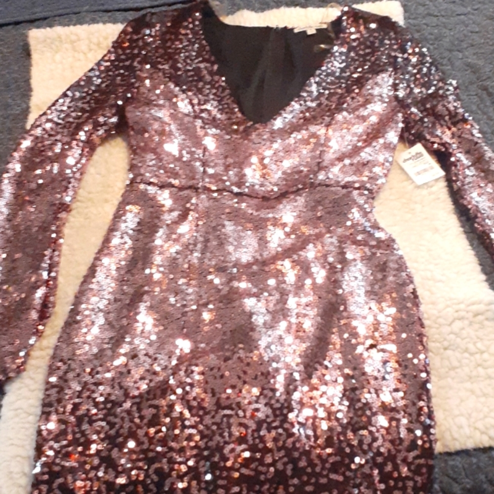 Charlotte Russe Sequin Dress